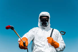 Best Bee and Wasp Removal  in Gorman, TX